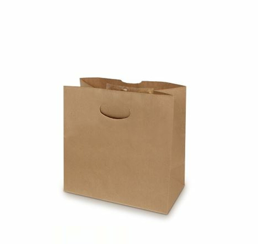 Die Cut Handle Paper Bags